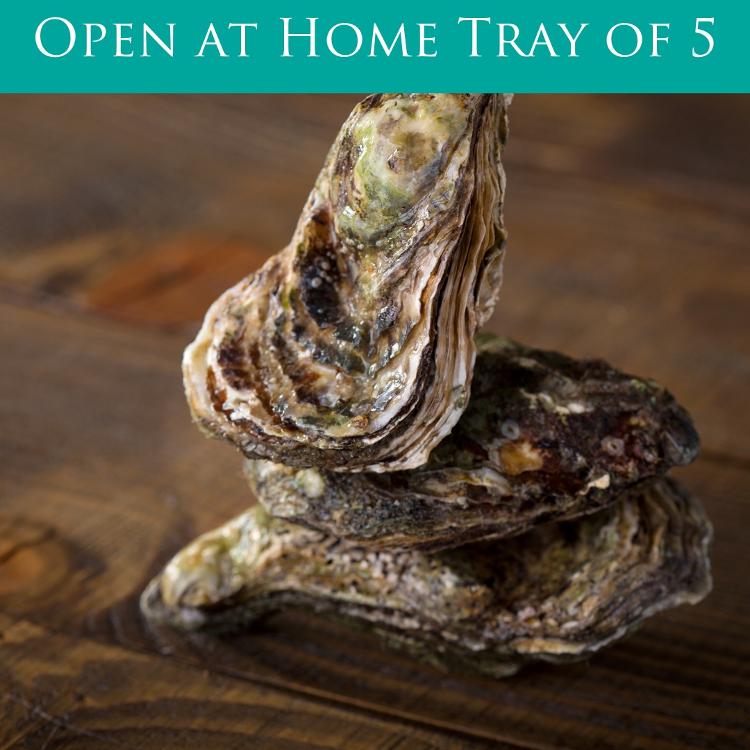 Open at Home Tray of 5 Oysters