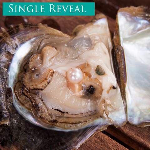 Single Real Oyster Opening
